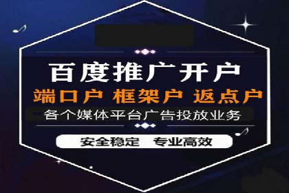 SEM代运营经典案例解析与启示